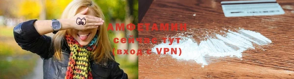 стаф Вязьма