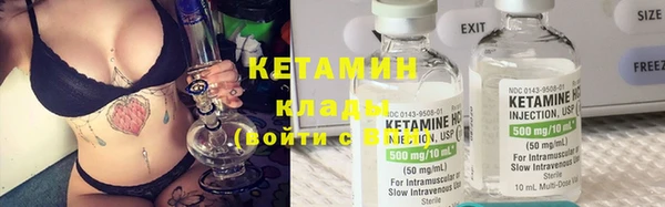 шишки Вязники