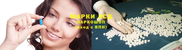 стаф Вязьма