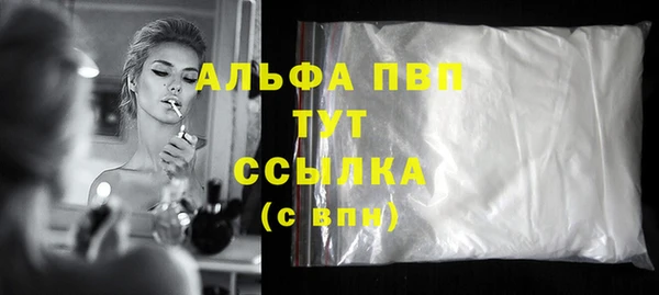 стаф Вязьма