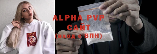 ГАЛЛЮЦИНОГЕННЫЕ ГРИБЫ Вяземский