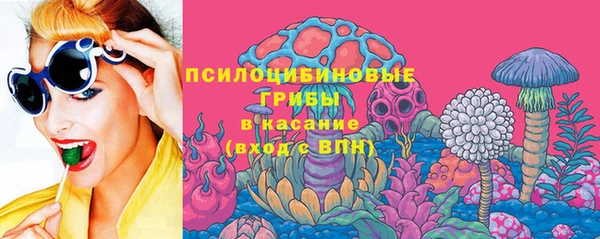 стаф Вязьма