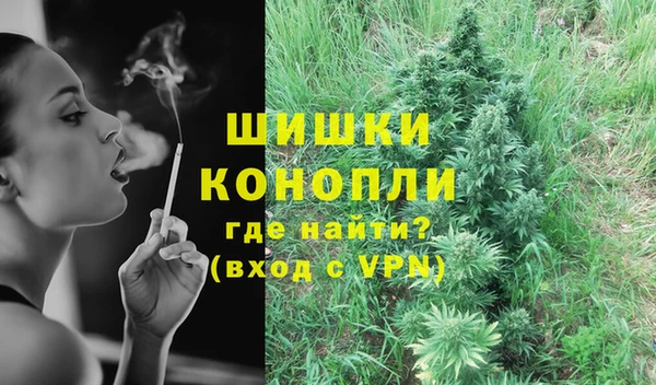 ГАЛЛЮЦИНОГЕННЫЕ ГРИБЫ Вяземский