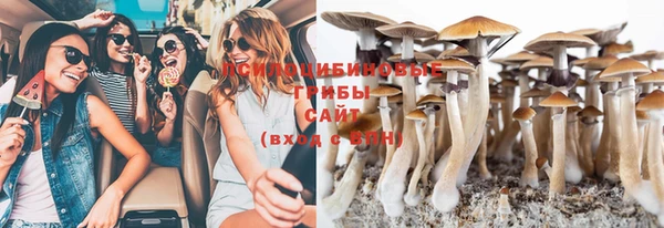 шишки Вязники