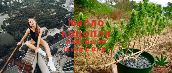 ГАЛЛЮЦИНОГЕННЫЕ ГРИБЫ Вяземский