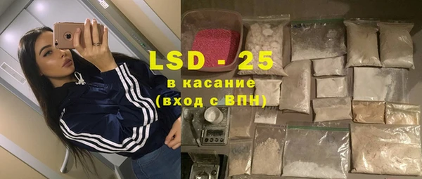 стаф Вязьма